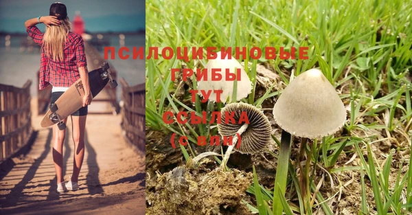 2c-b Магас
